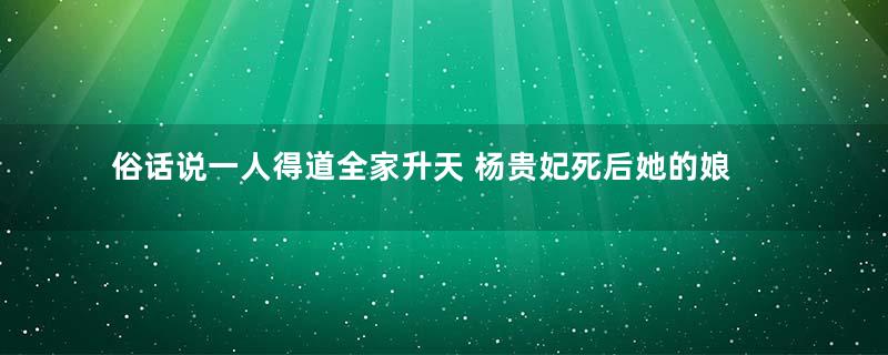 俗话说一人得道全家升天 杨贵妃死后她的娘家人又是什么下场